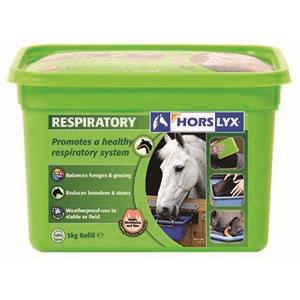 HORSLYX RESPIRATORY STABLE LICK 5KG Image 1