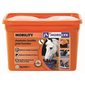 HORSLYX MOBILITY  STABLE LICK 5KG REFILL Image 1