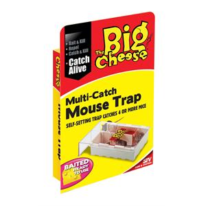 THE BIG CHEESE STV162 MULTI MOUSE LIVE TRAP SMALL Image 1