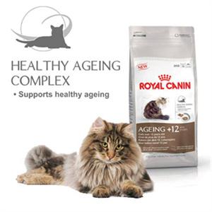 ROYAL CANIN AGEING +12 CAT FOOD 2kg Image 1