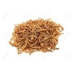 DRIED MEALWORMS 5 LITRE TUB- APPROX  1KG Image 1