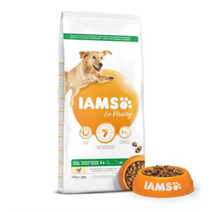 IAMS for Vitality Adult Large Dog Food with FRESH CHICKEN 12kg Image 1