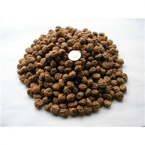 LARGE TIGER NUTS 3kgs Image 1