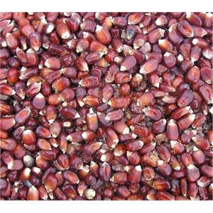 TITMUSS RED MAIZE 20KG Image 1