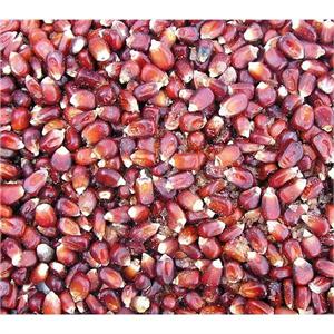 TITMUSS RED MAIZE 1KG Image 1
