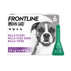FRONTLINE PLUS SPOT ON FOR LARGE (20-40KG) DOGS 6 PACK Image 1