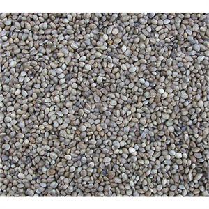 CHINESE HEMPSEED 25KGS NOT FOR SOWING Image 1