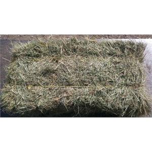 BALE OF HAY  Image 1