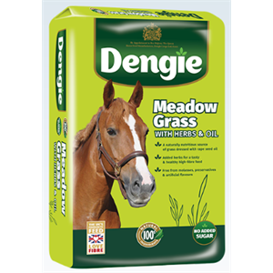 DENGIE MEADOW GRASS + HERBS 15KGS Image 1