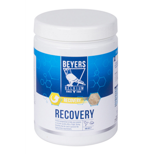 BEYERS RECOVERY 600GR Image 1