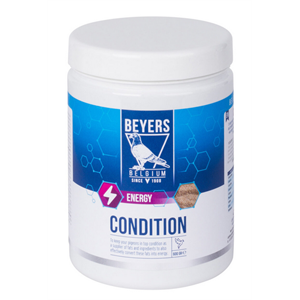 BEYERS CONDITION 600GR Image 1