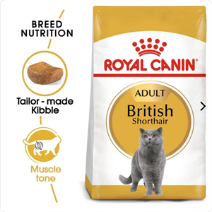 RC BRITISH SHORTHAIR 34 400G Image 1