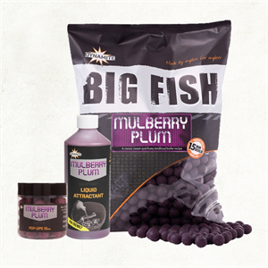 Dynamite Baits Big Fish Mulberry Plum Boilies 15mm 1.8kg only Image 1