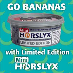 Horslyx Mini Banana 650gr Image 1