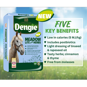 Dengie Meadow Lite + Herbs 15KGS -  Image 1
