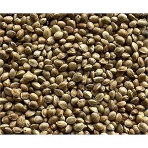 French Hempseed 20kgs Image 1