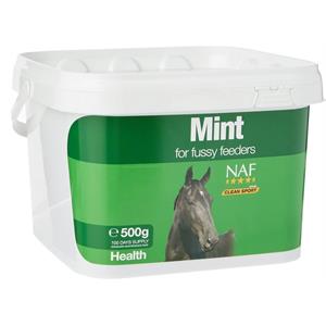 NAF MINT 500G Image 1