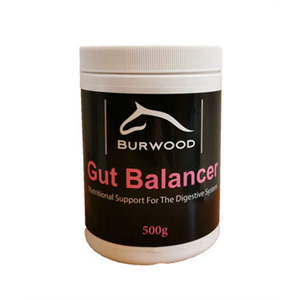 Burwood Gut Balancer 500g Image 1
