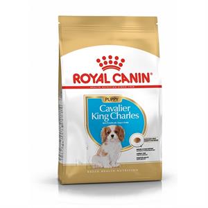 ROYAL CANIN CAVALIER KING CHARLES JUNIOR 1.5KG Image 1