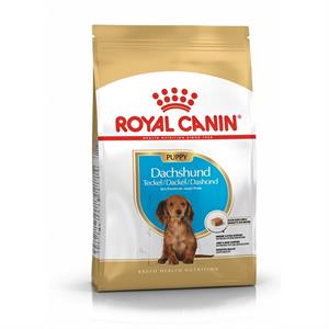 ROYAL CANIN DACHSHOUND JUNIOR 1.5KG Image 1
