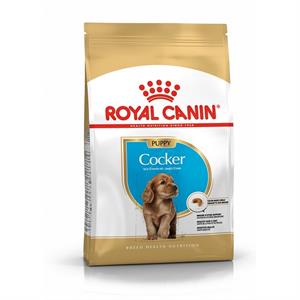 ROYAL CANIN COCKER JUNIOR 3KG  Image 1