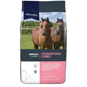 DODSON & HORRELL YOUNGSTOCK  CUBES 20KGS *Available to order* Image 1