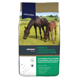 DODSON & HORRELL MARE & YOUNGSTOCK CONCENTRATE 20KGS Image 1