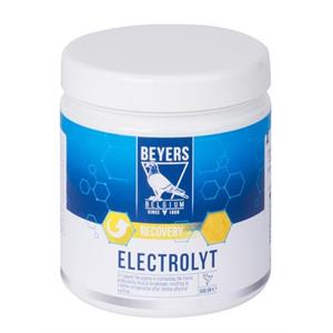 Beyers Electrolytes 500gr Image 1
