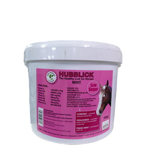 Hubblick Mint 10Kgs Image 1