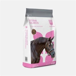 Saracen Veteran Balancer 20kgs Image 1