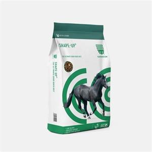 SARACEN SHAPE-UP 20KGS Image 1