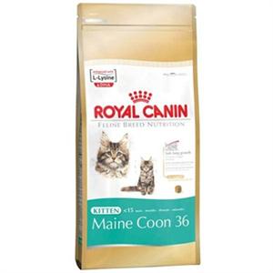 ROYAL CANIN MAINE COON KITTEN FOOD 36 10KG Image 1