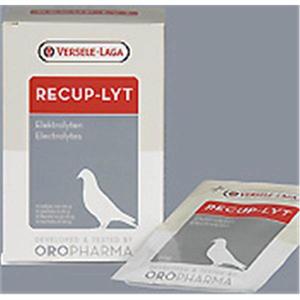 OROPHORMA RECUP-LYT - electrolytes - 12 sachets 240G Image 1