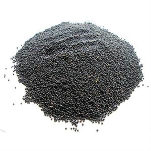 TITMUSS BLACK RAPESEED 5KG Image 1
