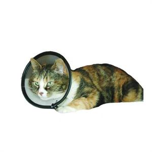 COMPANY OF ANIMALS SMART CAT COLLAR Image 1