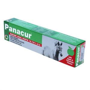 PANACUR PASTE FOR HORSES Image 1