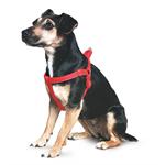 ANCOL PADDED DOG HARNESS SIZE 3-4 SMALL Thumbnail Image 1