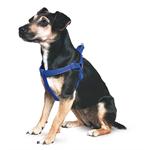 ANCOL PADDED HARNESS SIZE 7-8 LARGE Thumbnail Image 1