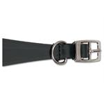 ANCOL 14inch / 35cm WHIPPET COLLAR BLACK Thumbnail Image 1