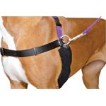 ANCOL PURE DOG LISTENERS EXTRA LARGE HAPPY AT HEEL HARNESS Thumbnail Image 2