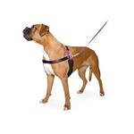 ANCOL PURE DOG LISTENERS SMALL HAPPY AT HEEL HARNESS Thumbnail Image 1