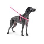 ANCOL PADDED HARNESS SIZE 7-8 LARGE Thumbnail Image 4