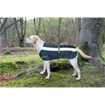 FLECTALON HIGH-VIZ DOG JACKET NAVY 22 INCH - 56CM thumbnail