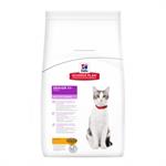 Hills Science Plan Feline Senior 11+ Healthy Ageing with Chicken 4kg thumbnail