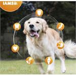 IAMS for Vitality Adult Large Dog Food with FRESH CHICKEN 12kg Thumbnail Image 1