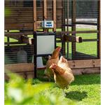 Chickenguard Locking Door Kit & Premium Door Opener Combi Thumbnail Image 1
