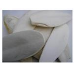 CUTTLEFISH BONES (8-10 inch) LARGE 11.5KG thumbnail
