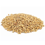 VERSELE LAGA BARLEY EXTRA 25KGS Thumbnail Image 1