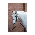 HY EQUESTRIAN CHAMBON thumbnail