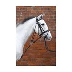 HY EQUESTRIAN DE GOGUE COB/FULL BLACK thumbnail
